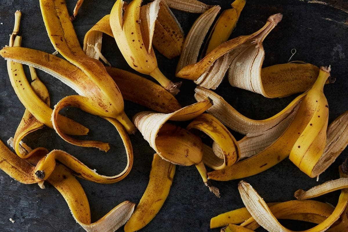 Questo preparato funziona come un fertilizzante ecologico fatto in casa, in grado di apportare nutrienti essenziali al terreno.