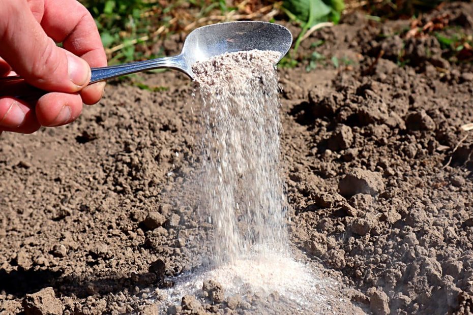 Meglio del letame: spargetelo alla fine di marzo e già ad aprile il terreno diventerà soffice e fertile